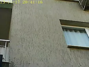 სადო-მაზოხიზმი, კოლე ...
